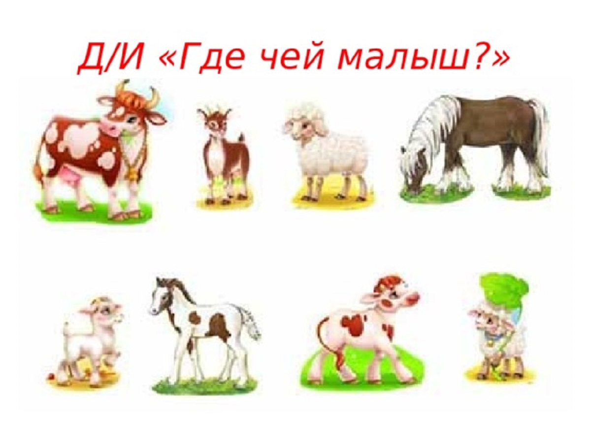 2 gde chej malysh