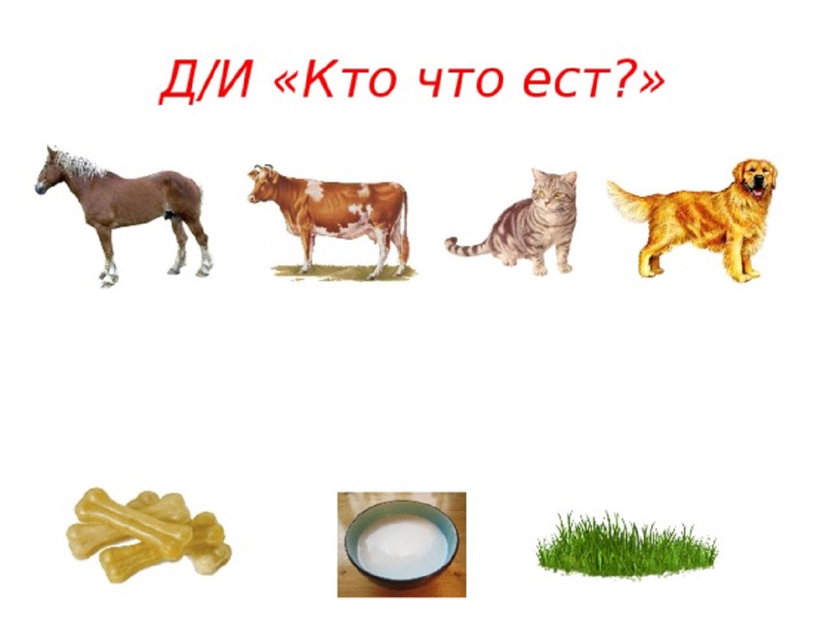 3 kto chto est